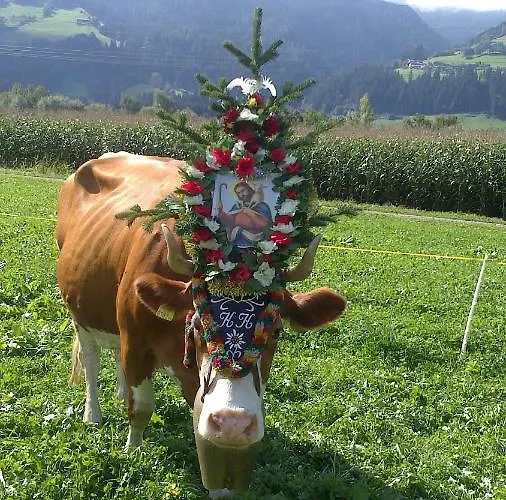 Haus Kammerlander * Stummerberg