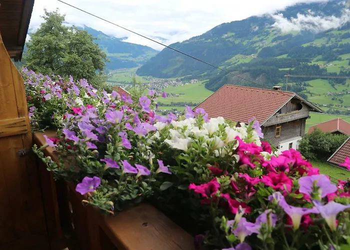 Haus Kammerlander アパート *