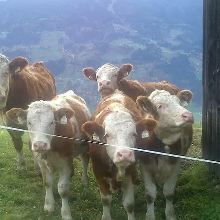 아파트 Haus Kammerlander Stummerberg