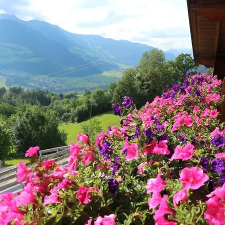 Haus Kammerlander 아파트