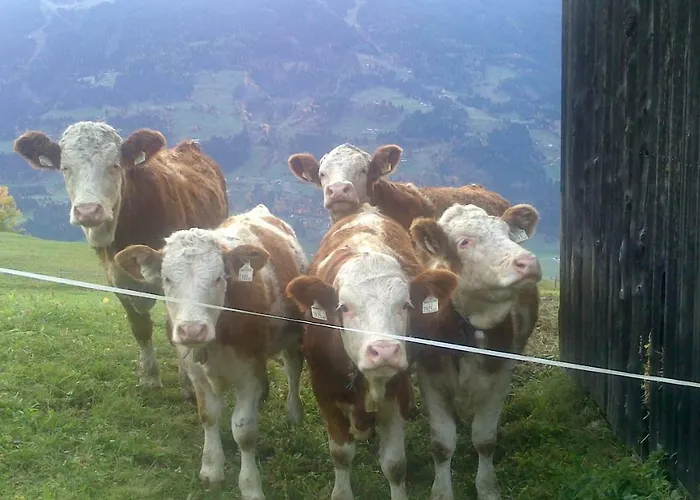 Apartament Haus Kammerlander Stummerberg