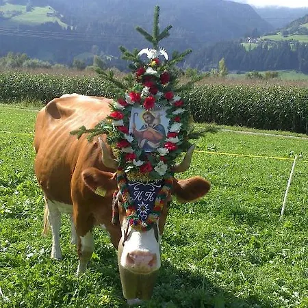 Haus Kammerlander * Stummerberg